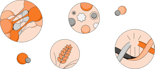 Focus area illustrations